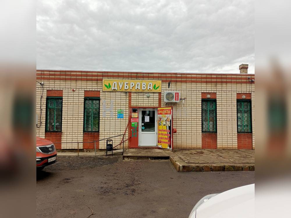 Готовый бизнес 102.2 м2, участок 210 сот. Литвиновка, ул. Центральная - фото 1